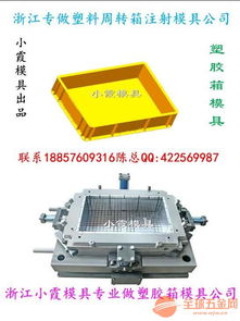 生产塑胶模具加工箱子注射模具